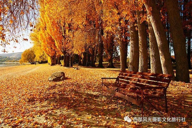 花千骨小说东华是不是喜欢紫熏浅夏游戏画面
