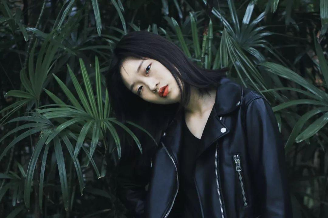 虫虫助手下载