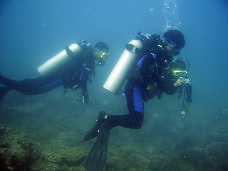 傲农生物预计2023年净亏损30亿元到36亿元