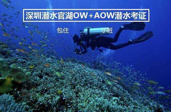探索知识星球平台,尽享考试付出没回报是结果对不起自己的努力吗?之旅