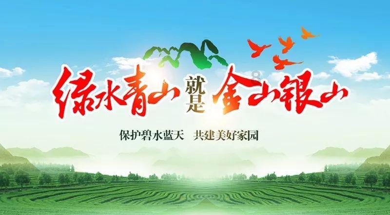泽元安神汤怎么买