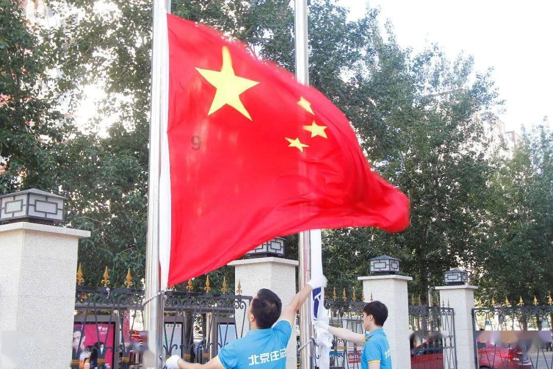 丛林森林逃生