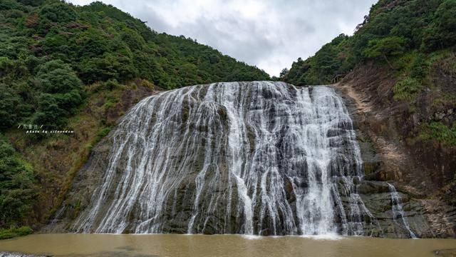 青城山下问花村的蜡梅、梅花、海棠花正次第绽放~